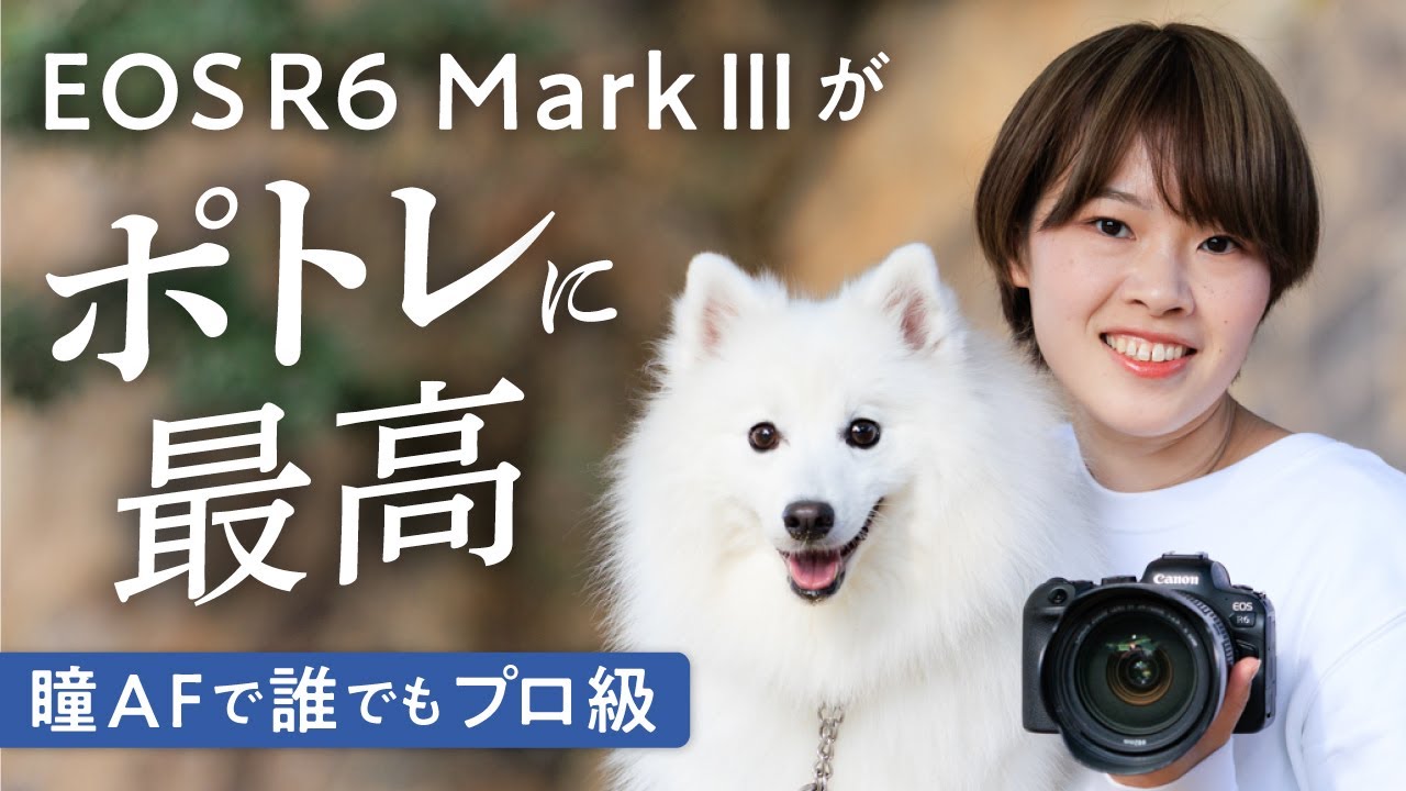 EOS R6 Mark IIIがポートレートに最適な理由！人物も犬も迷わず瞳AF