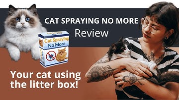 Cat Spraying No More Review | Does it work?
