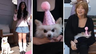 Nabi & Mika Steals the Show at Kaya's Birthday PAWty by OfflineTV & Friends Fans 31,932 views 2 months ago 12 minutes, 58 seconds