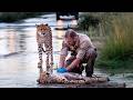 Animals That Asked People For Help &amp; Kindness!