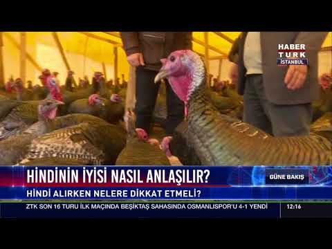 Hindinin iyisi nasıl anlaşılır?