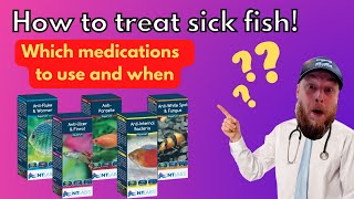 How to spot & medicate sick fish. Plus my favourite treatments to use!