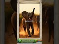 Um elefante ficou com ciúmes… e todo mundo percebeu 🐘😂 #Nature #Wildlife #ytshorts