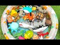 Discovering the Deep Blue A Joyful Learning : Voyage A Playful Ocean Learning Trip