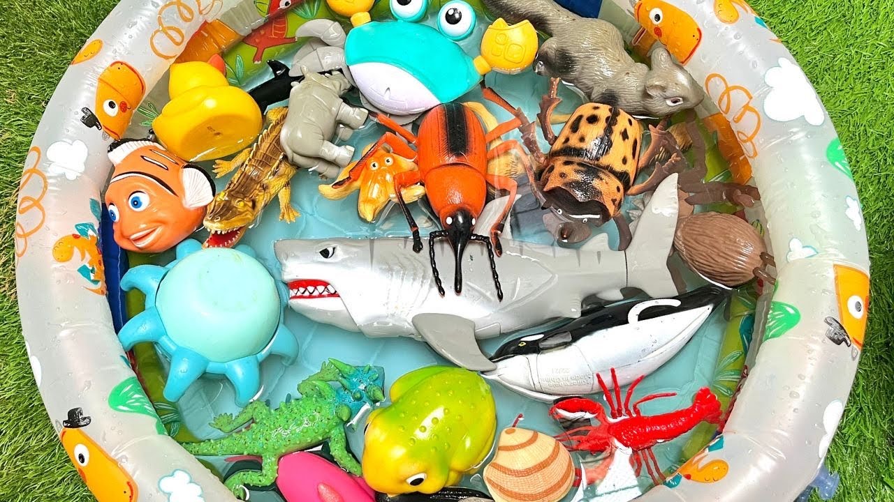 Discovering the Deep Blue A Joyful Learning : Voyage A Playful Ocean Learning Trip