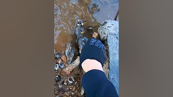 pesca magnetica  não deveria mecher mas sou curioso