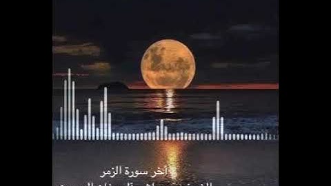 تلاوة بدر راشد آل دخنان الدوسري من آخر سورة الزمر ليلة ٢٣ عام ١٤٤٢ هجري