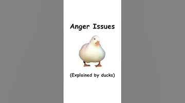 Anger issues (explained by ducks)