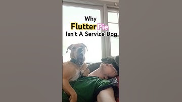 Why FlutterPie Isn