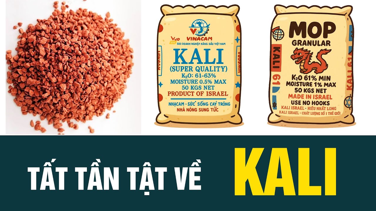 TẤT TẦN TẬT VỀ PHÂN KALI