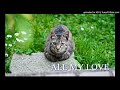 ALL MY LOVE(CeVIOオリジナルアレンジ)
