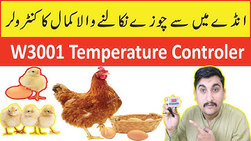 XH-W3001 Digital Temperature Controller | W3001 Digital Temperature Controller Setting In Urdu/Hindi