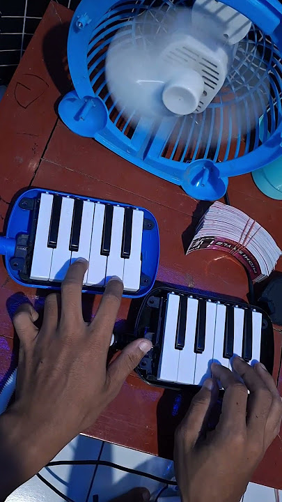basuri kereta malam #basuri #basuriremix #pianika #fyp #xyzbca #laguviral