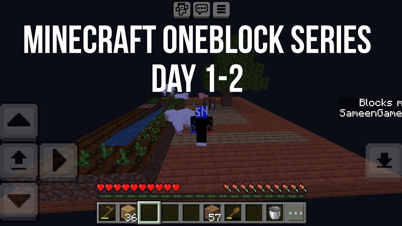 Minecraft Oneblock series part-1 Day 1-2 Playthrough. - YouTube