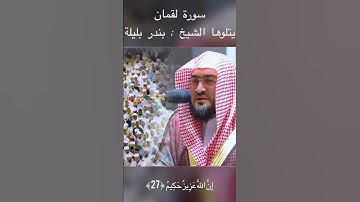 سورة لقمان يتلوها د. بندر بليلة