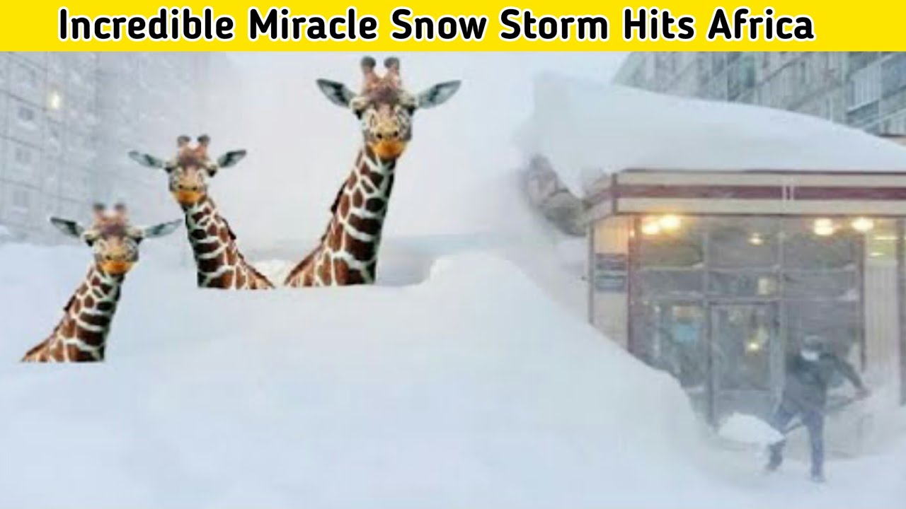 Incredible Miracle! Snow Storm Hits Africa Mokhotlong Lesotho State|Harris Weather