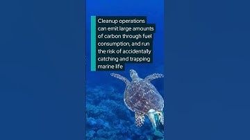 Clearing the Great Pacific Garbage Patch