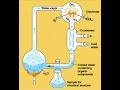 Evolution part 1 #millerandureyexperiment #evolution #shorts