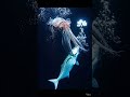 Cumi-Cumi Raksasa: Monster Laut Dalam yang Jarang Terlihat Manusia!