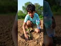 #arav aur ped paudhe.