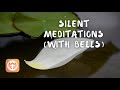 Silent Meditations (20 min) | 4 intervals Mp3 Song