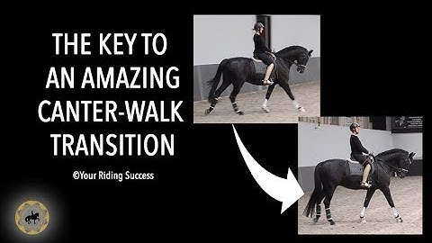 THE KEY TO AN AMAZING CANTER-WALK TRANSITION - Dressage Mastery TV Episode 239