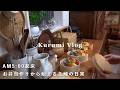 AM5:00起床🌤️頑張って布団から出る冬の朝｜３日間のご飯作り＆家事掃除｜お弁当とレタス収穫｜主婦vlog