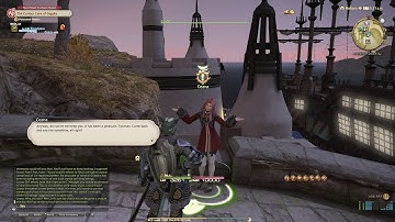 FFXIV - The Curious Case of Giggity