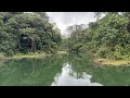 Rainforest Protection | Jungle Eco Reserve Panama