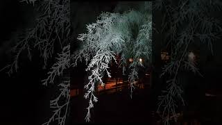 Midnight (Mono) (2004 Remaster) . The Shadows