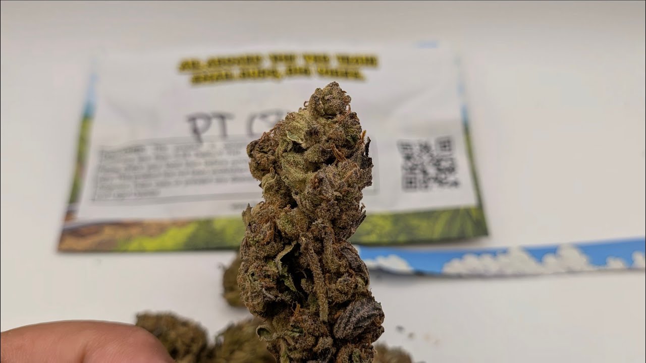 THCA SMALL BUDS | PURPLE TRAINWRECK | OUTDOOR SECTION |🚂 tsb small buds!! Thca review!!