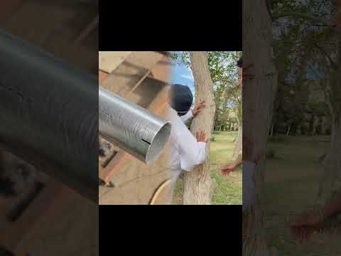 كوميديا هاتف مقطوعة نقطة عرض روس لديك 