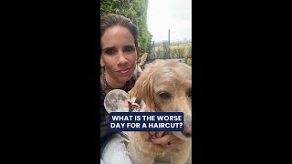 Best and Worst Days for Haircuts