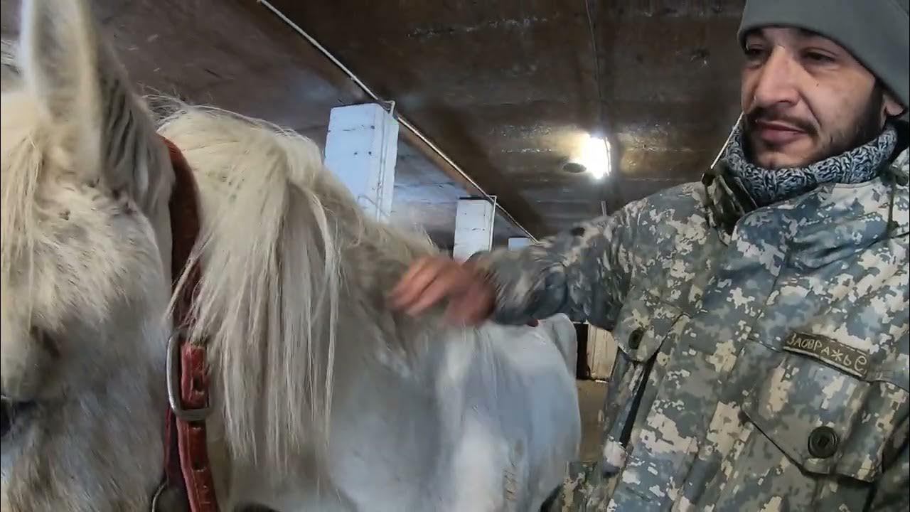 Вольный ветер конный клуб Екатеринбург