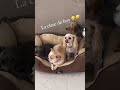 La clase de hoy !
