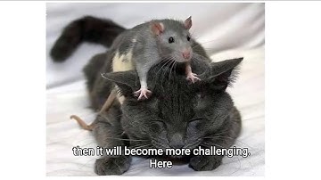 deep residual shrinkage networks