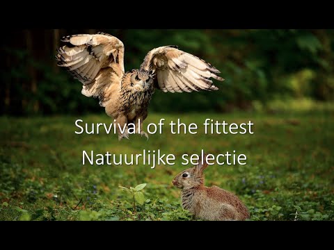 Natuurlijke selectie