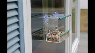 Review: Yardiculture® Window Bird Feeder with Removable Tray #yardiculture