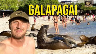 Kelionė į Galapagus (1). Ruoniai visai suįžūlėjo. Nardymas su šimtais ryklių.