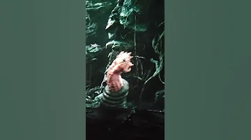 Skull Island Reign Of Kong POV Universal S Islands Of Adventure Part 3 