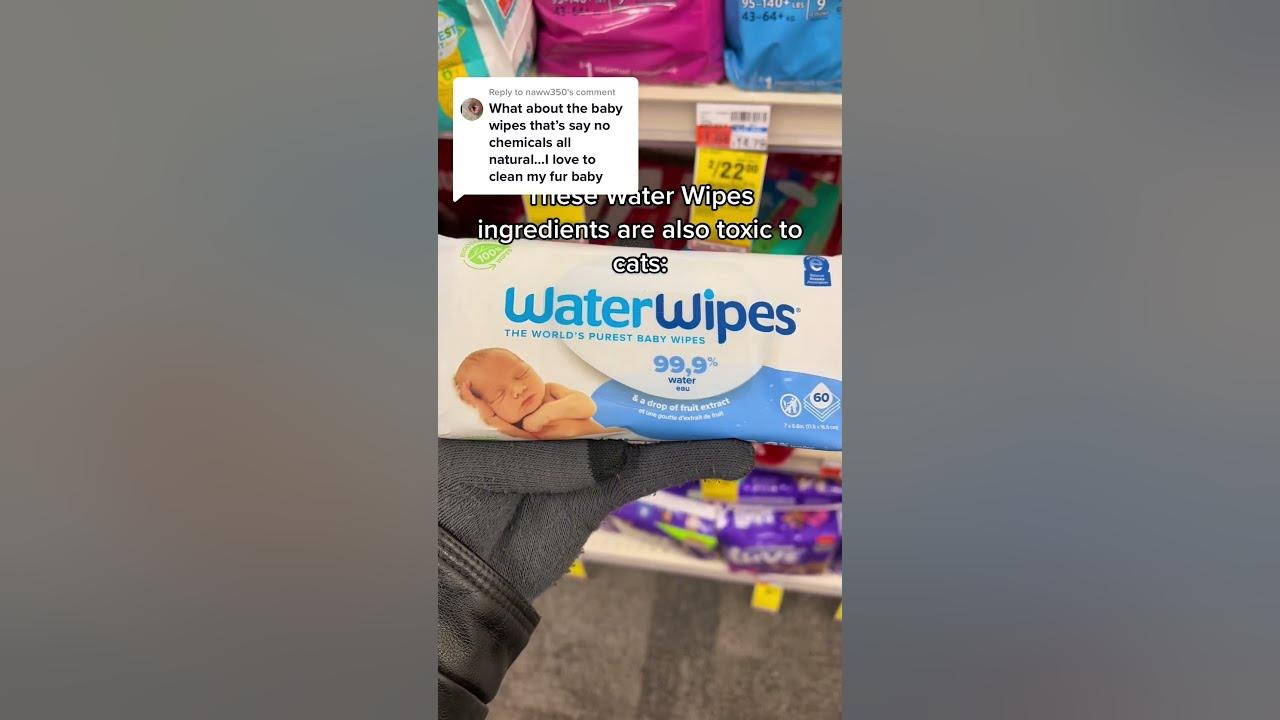 are-baby-wipes-okay-for-cats-shorts-cats-cat-youtube