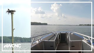 If you’ve thought Lake Norman looked dimmer at night, you’re correct. Here's why