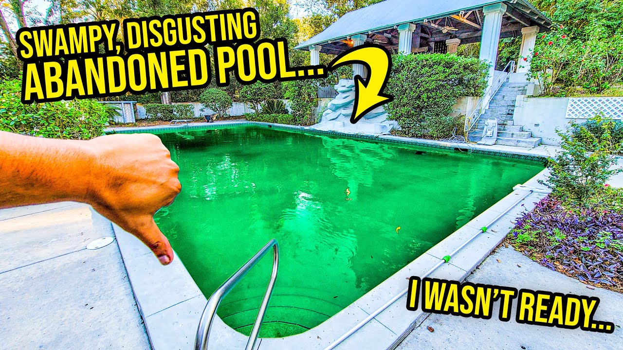 My Dream House’s Giant Pool Turned Into A SWAMP…Can I Fix It Myself? | Project Dream House Part 2