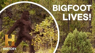 4 UNBELIEVABLE BIGFOOT SIGHTINGS! | The Proof Is Out There | History