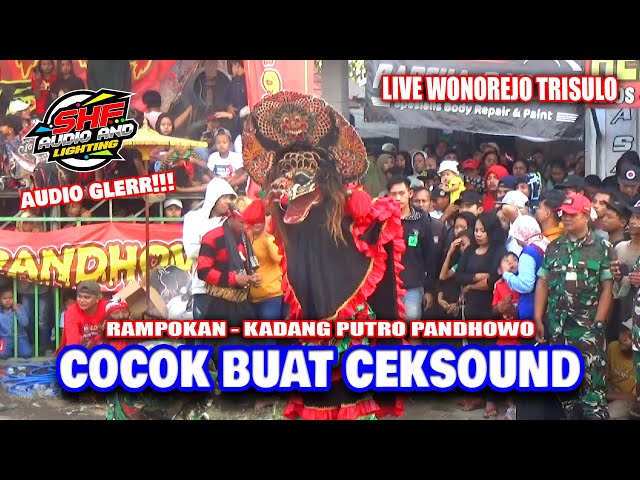 SHAFIRA AUDIO | Rampak Barong Jaranan KADANG PUTRO PANDHOWO Live Wonorejo Trisulo 2024 class=