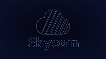 Skycoin - The Next Big Thing