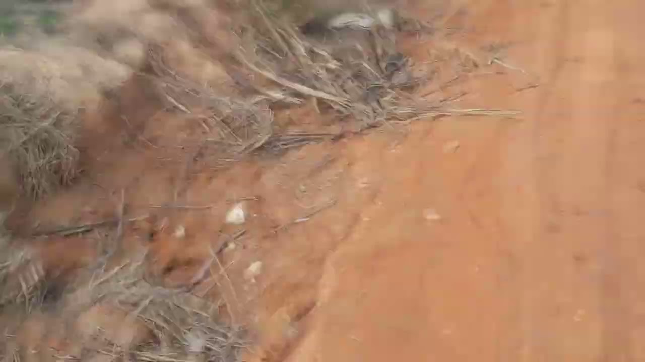 De Messias até  antiga fazenda água clara 