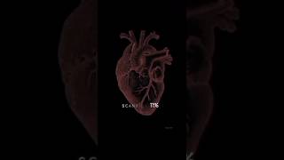 My 100%Heart You.... -U6K8X