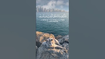 هذا خلق الله سورة لقمان القارئ ياسر الدوسري #quran #قرآن