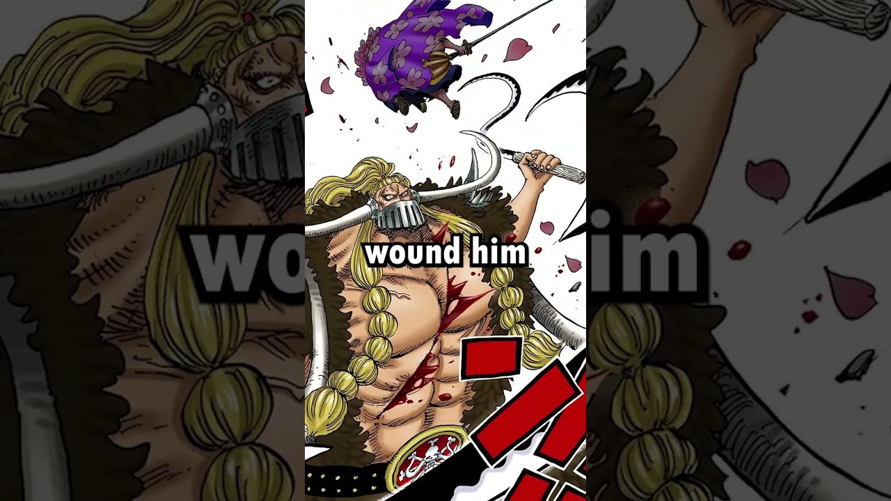 Nine Red Scabbards Explained - Ashura Doji | One Piece